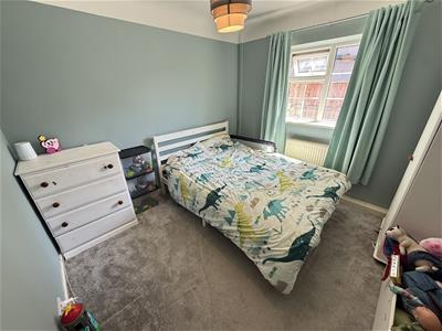 Picture 14